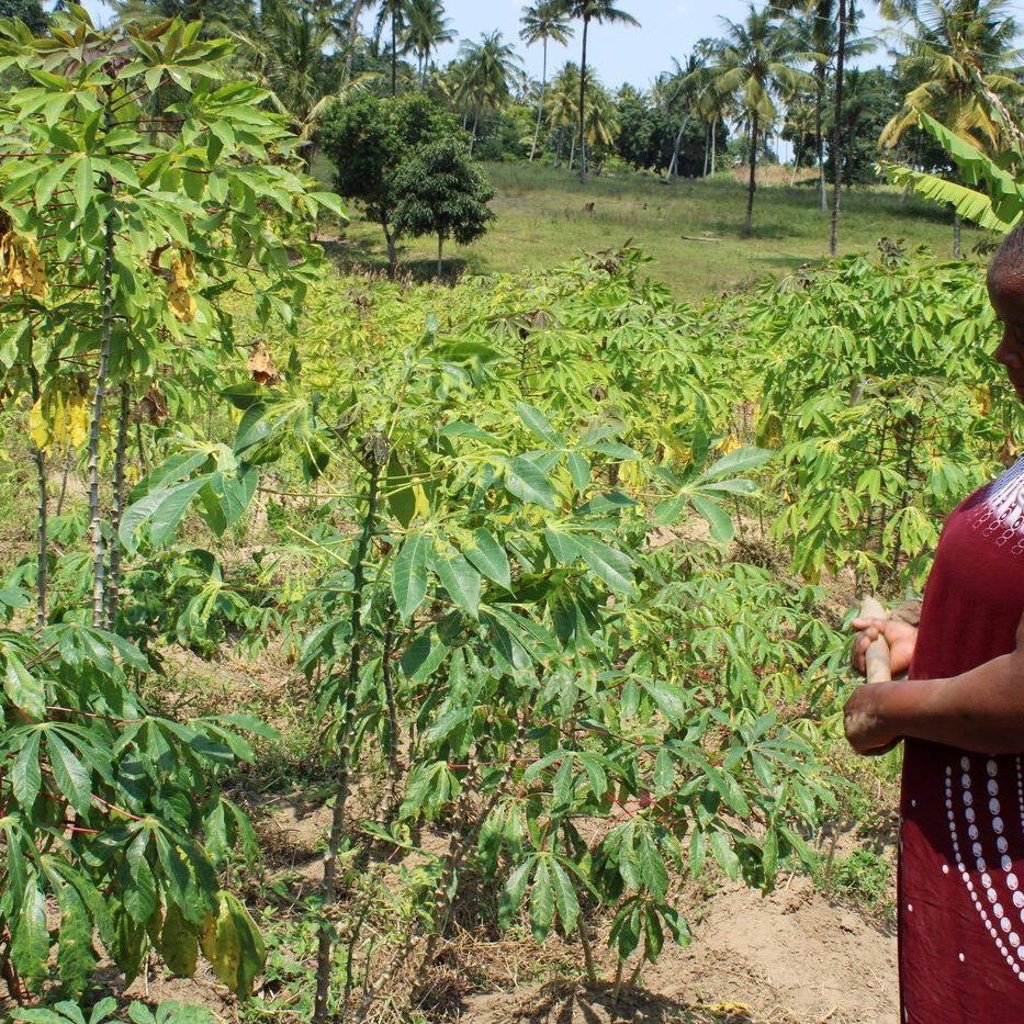 In Kenya, a search for links between a changing climate and mental health